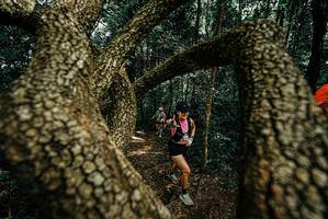 BIB: 
                            <button type="button" onclick="openModal(25701846)" class="btn btn-primary btn-sm float-right btn-popup" data-toggle="modal" data-target=".modal-high-quality">
                        <i class="fas fa-shopping-cart"></i> Add to Cart
                    </button>
                                            <button type="button" onclick="isThisMe(25701846, true)" class="btn btn-success btn-sm float-right btn-popup btn-isme hidden" data-toggle="tooltip" data-placement="bottom" title="นี่คือรูปของคุณใช่ไหม คลิกที่นี่เพื่อเอาเข้าอัลบั้ม">
                        <i class="fas fa-plus"></i> Add to album
                    </button>
                    <button type="button" onclick="isThisMe(25701846, false)" class="btn btn-warning btn-sm float-right btn-popup btn-isnotme hidden">
                        <i class="fas fa-ban"></i> Remove from album
                    </button>